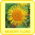 Memory Flors