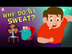Why Do We Sweat? - The Dr. Bin