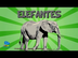 El Elefante | Videos Educativo
