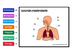aparato respiratorio - Diagram