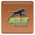 arctic-cat.com