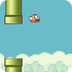 Flappy-code