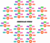 Learn Irregular Verbs