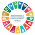 What is SDG ?