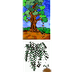 CICLO DE VIDA LAS PLANTAS - CI
