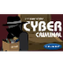 The Case of the Cyber Criminal