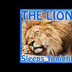 Lion Sleeps Tonight - Bucket D