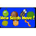 Seed Song - How Seeds Move - S
