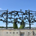 Dachau Concentration Camp Phot