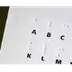Braille Bug