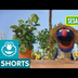 Sesame Street: Grover Talks Ab