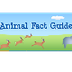 Animal Facts Guide