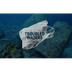 Troubled Waters