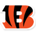 Cincinnati Bengals