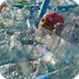Nous mangeons du plastiques!