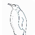 Penguins coloring pages