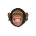 Caden - Monkey