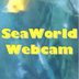 SeaWorld Parks and Entertainme