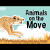 Animals on the Move