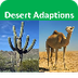 Desert Plants and Animals 