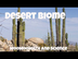 Desert Biome Facts