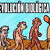 Revista Evolución Biológica