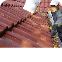 Roof Maintenance & Inspection 
