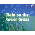 Rain On The Green Grass