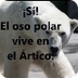 Los animales del Ártico y Antá