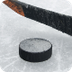 Hockey Pucks