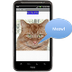 App Inventor.org: