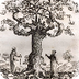 The tree of knowledge Ramon L