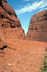Earth Floor: Biomes