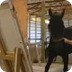 Justin The Painting Horse