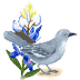 Mockingbird