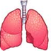 Respiración pulmonar