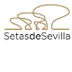 Mirador Setas de Sevilla 