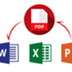 PDF to Word Data Entry Service