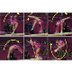 Gabby Douglas’s Balance Beam