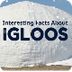 Interesting Facts About Igloos