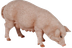 Boerderij