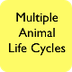Life Cycles - Symbaloo