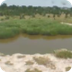 Chobe, Botswana Africa cam