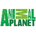 Animal Planet - Official Site