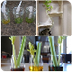 3 experimentos infantiles con