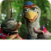 Koekeloere