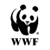 WWF - Amur leopard