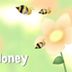 Bees & Honey