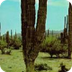 Desert 3