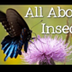 All About Insects for Children